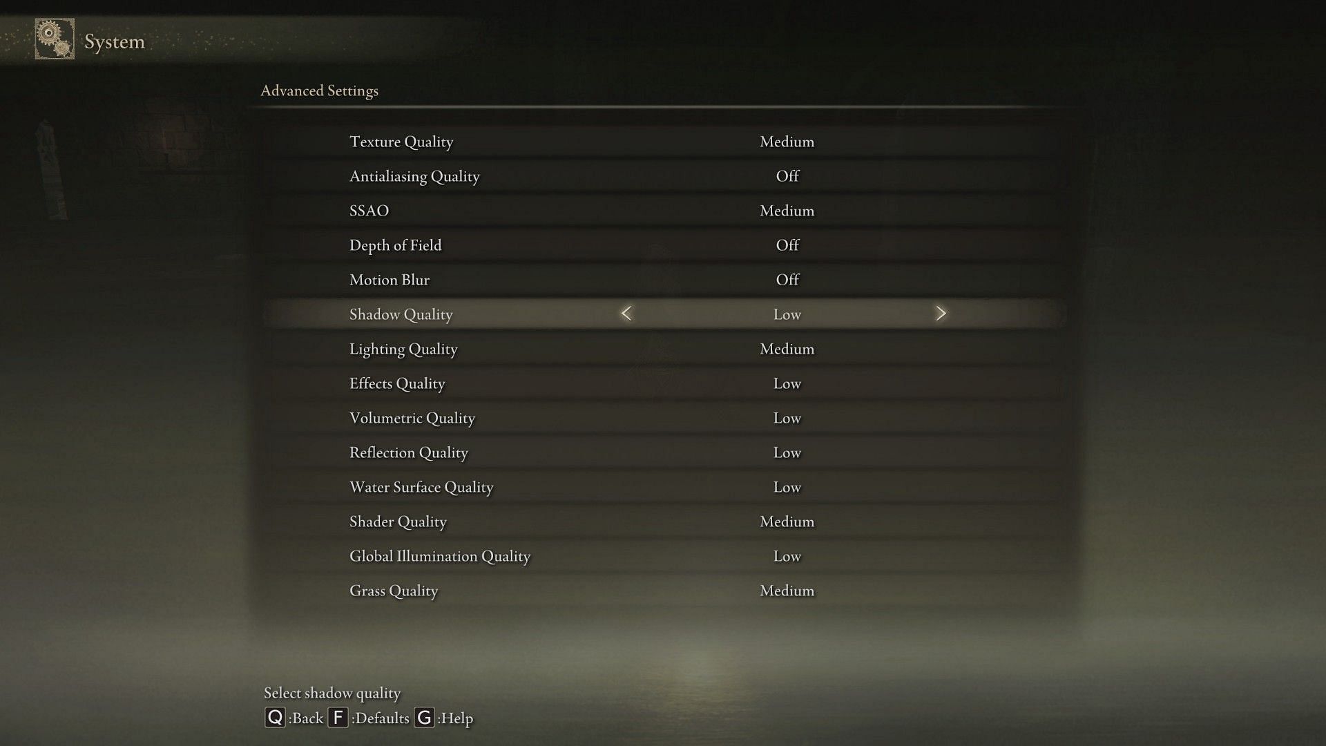 Changes to in-game settings (Image via Elden Ring)
