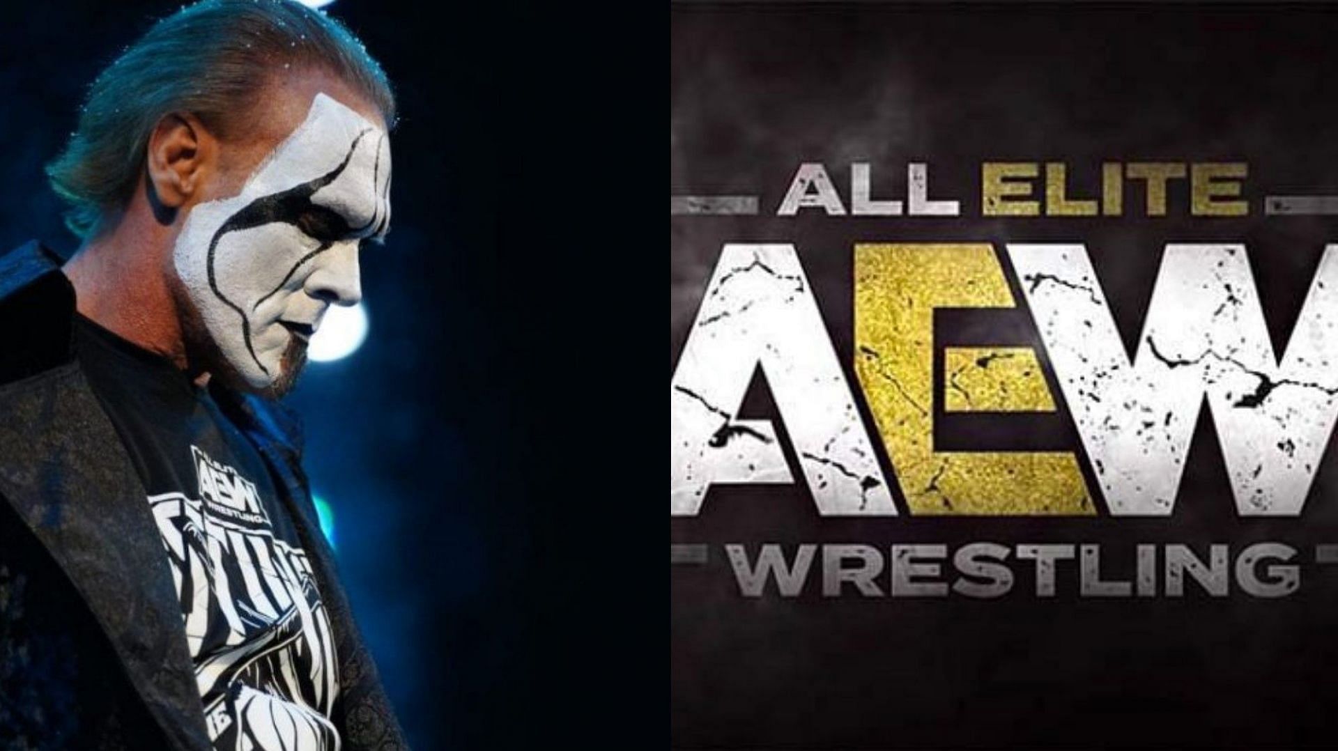 Top AEW Star Recalls Sharing Ring With Sting