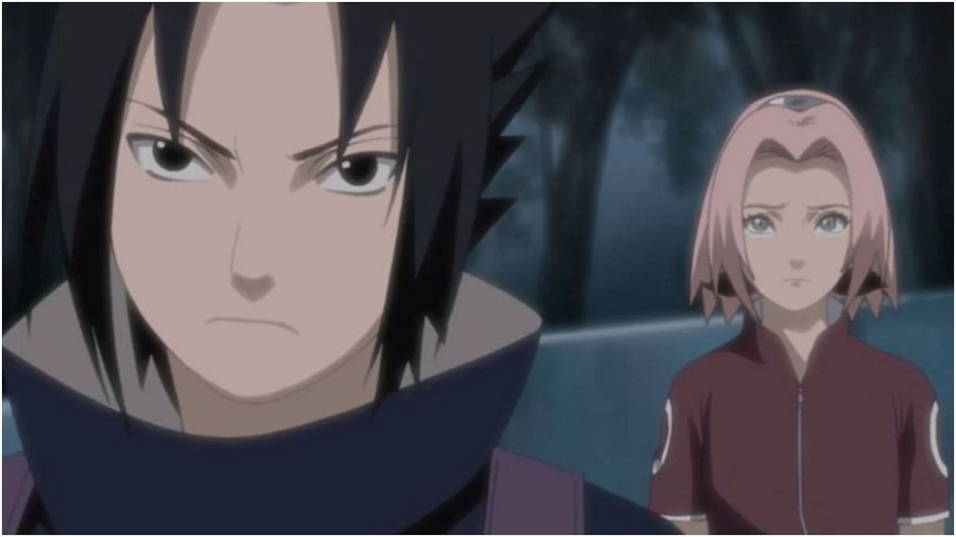 Sakura bothered almost everyone in the series regarding Sasuke (Image via Naruto)
