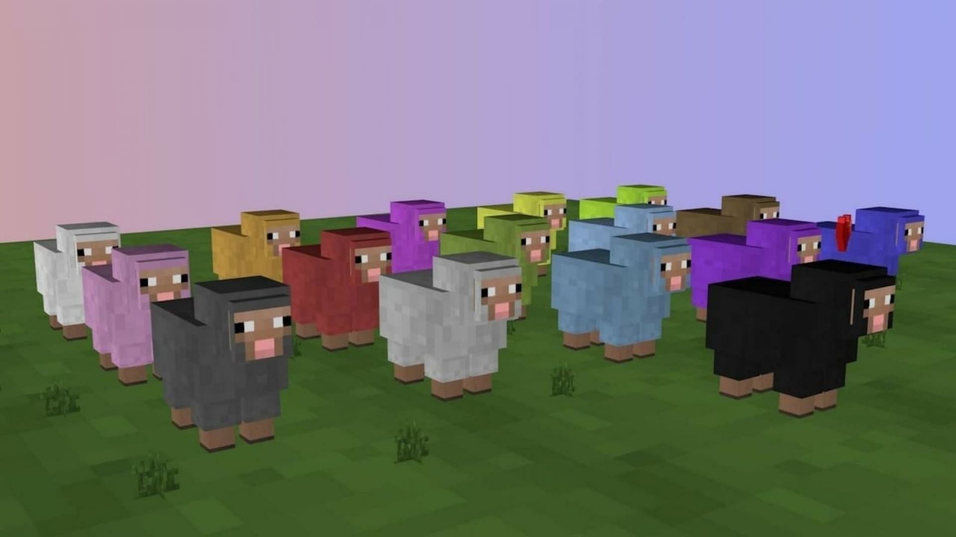 A varied assortment of sheep with different wool colorations (Image via Mojang)