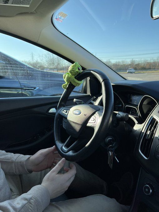 What is Disney’s steering wheel buddy? Where to buy, price and