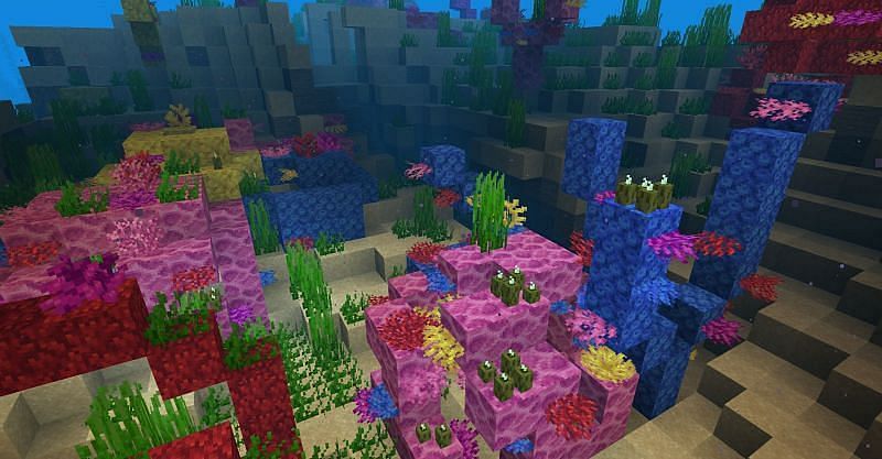 Sea pickle growing on coral blocks in the game (Image via Minecraft)