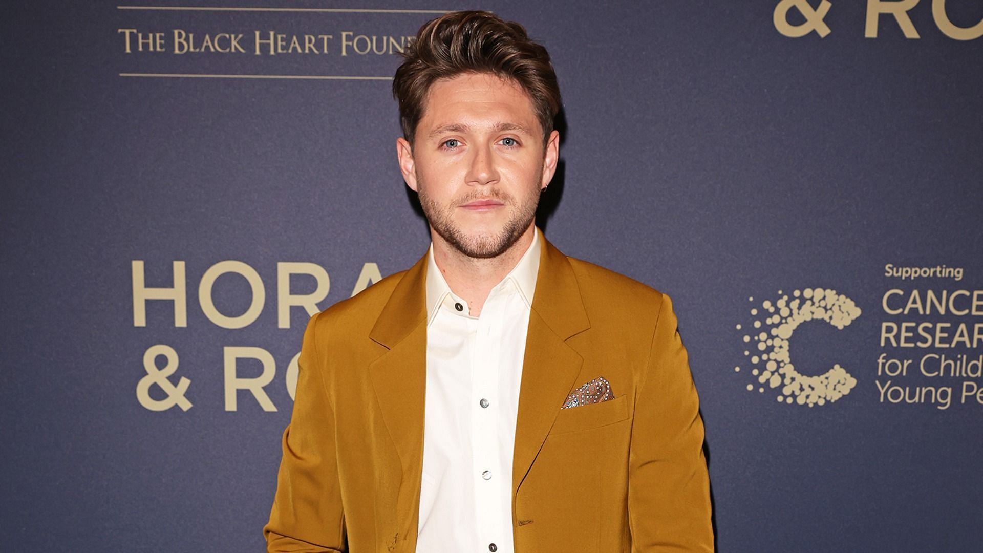 Niall Horan (Image via David M. Benett/Dave Benett/Getty Images)