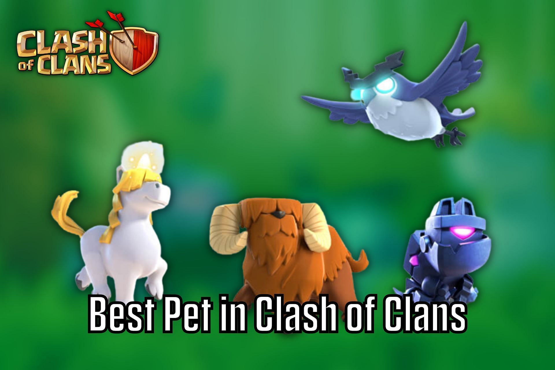 best pet assignment clash of clans