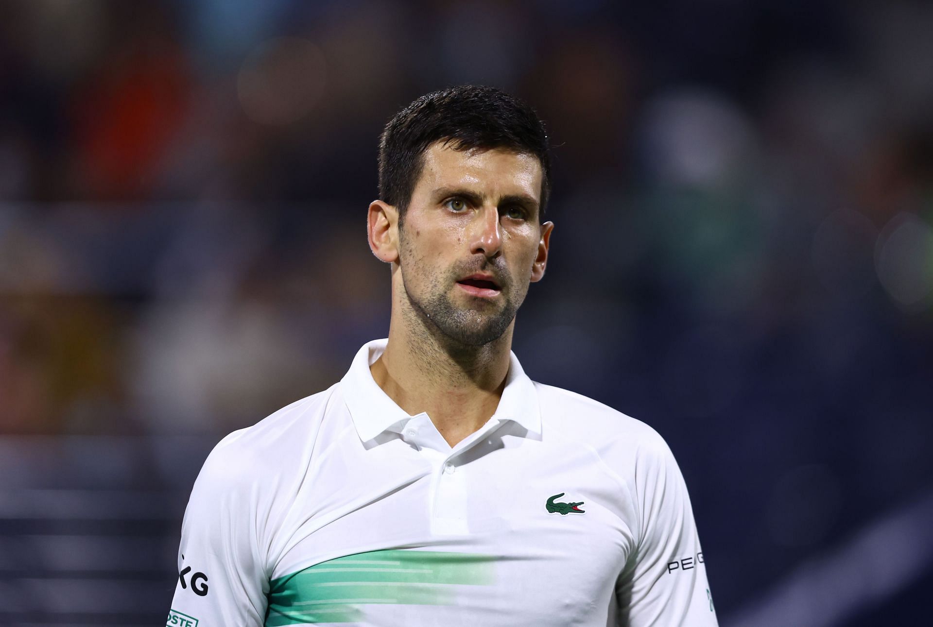 Djokovic at the 2022 Dubai Duty Free Tennis Championships.