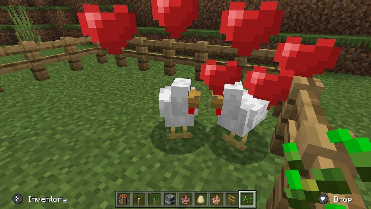 Breeding Chickens In Minecraft Everything You Need To Know