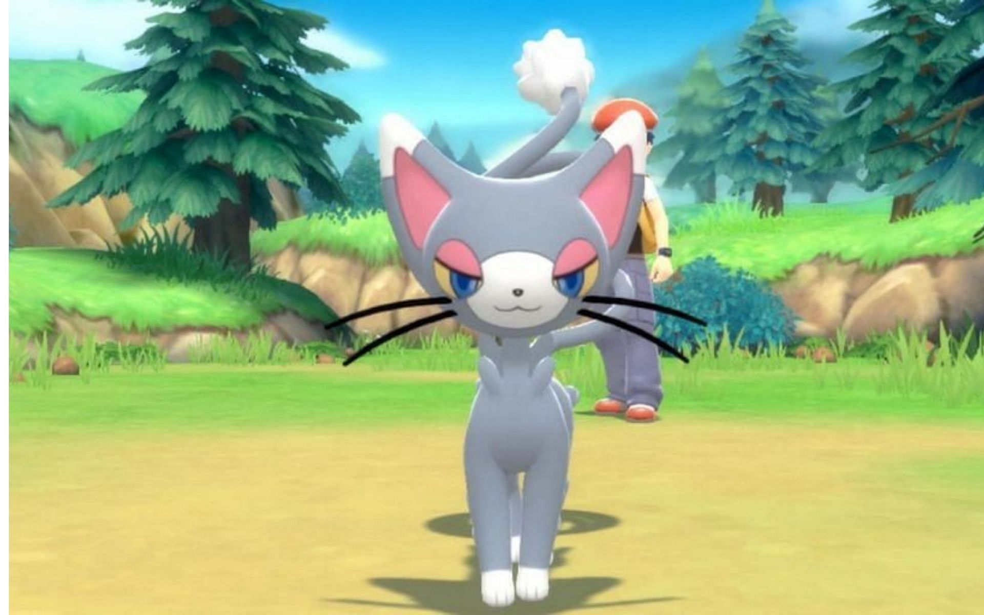 Glameow comes from the Sinnoh region (Image via ILCA)