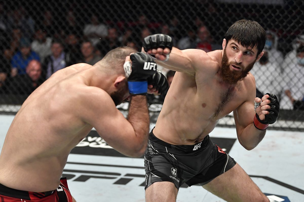 Magomed Ankalaev could secure a title shot with an impressive win over Thiago Santos
