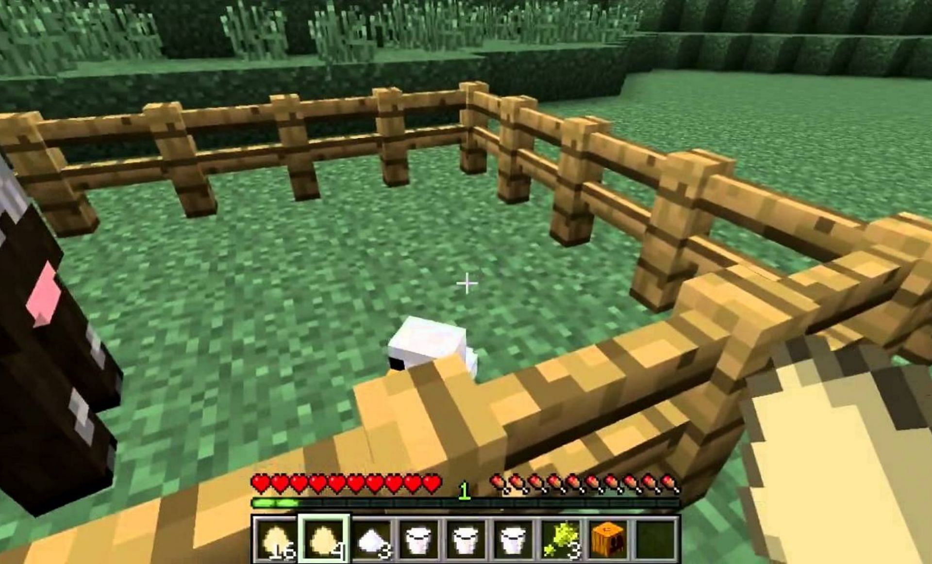Eggs are an essential resource in Minecraft (Image via Minecraft)