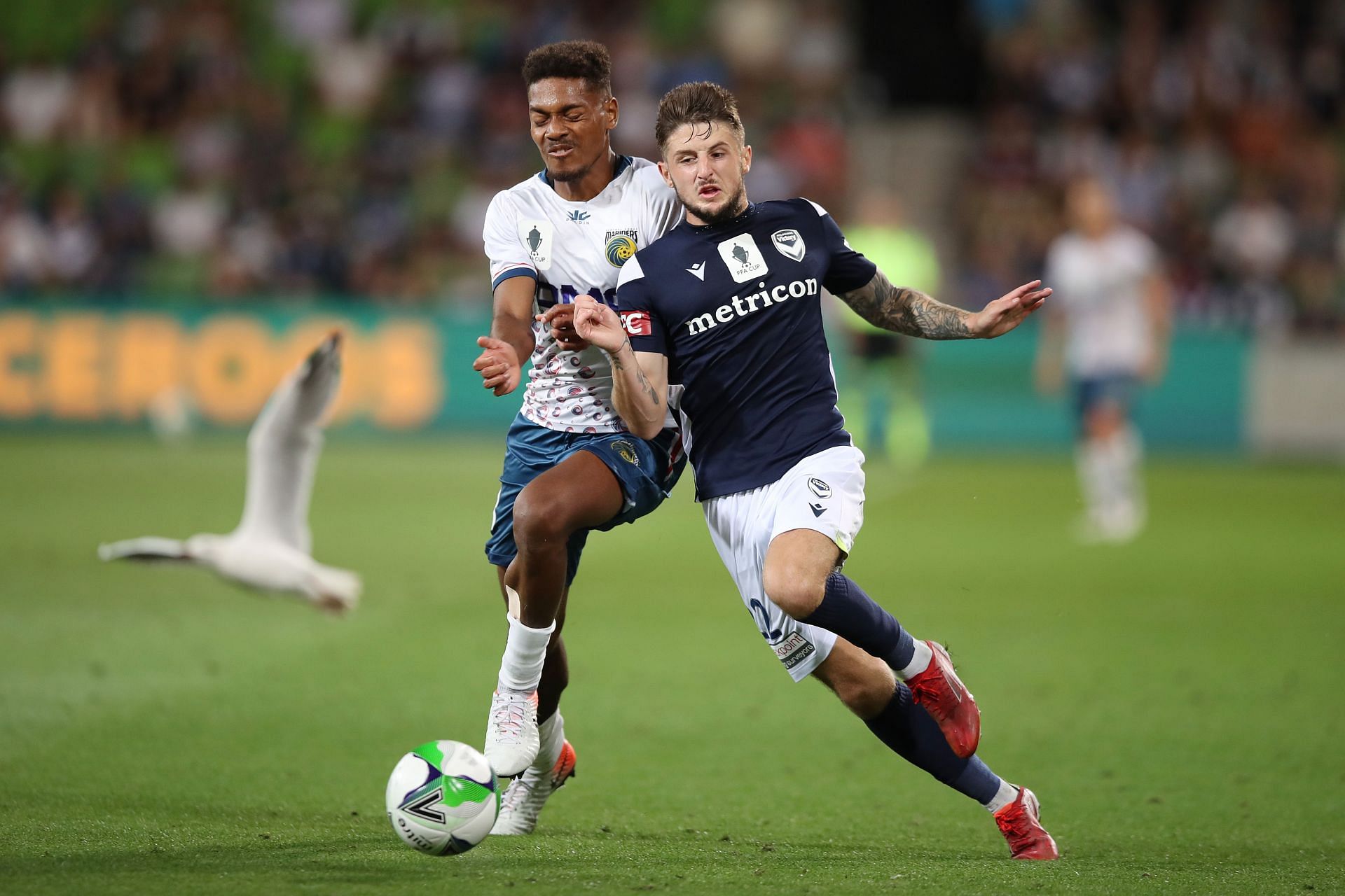 Central Coast Mariners take on Melbourne Victory this weekend