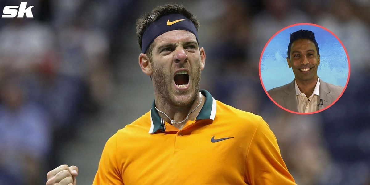 A fit Juan Martin del Potro would have scaled the same heights as the Big 4, according to Prakash Amritraj