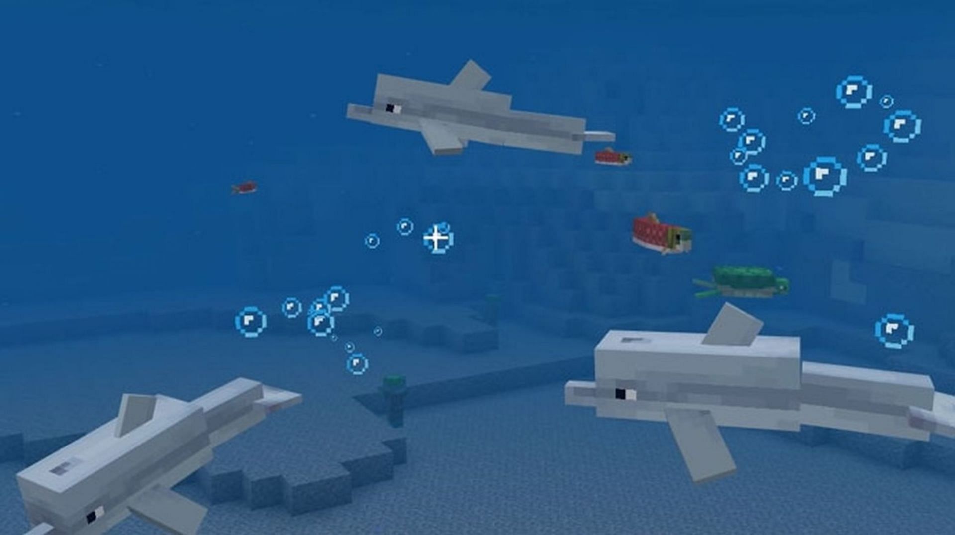 A pod of dolphins swimming through an ocean biome (Image via Mojang)