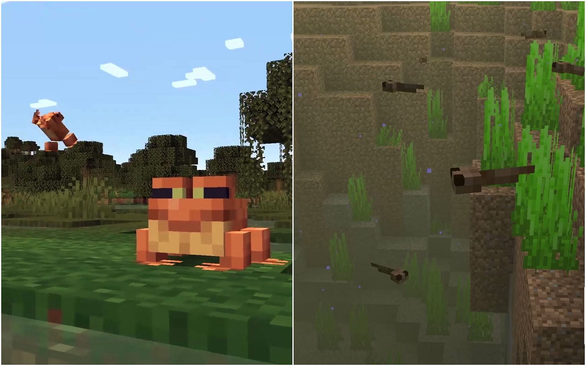 How to breed frogs in the upcoming 1.19 update (Image via Mojang)