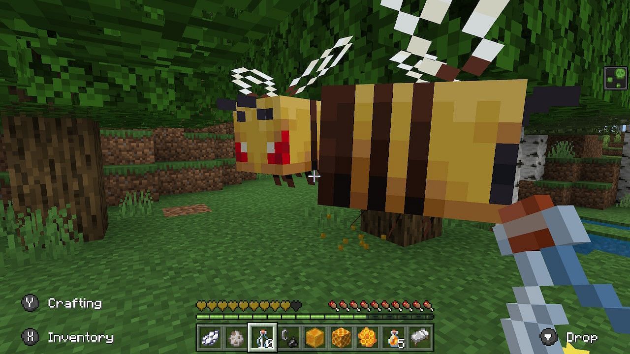 Bees become provoked when their nest is disturbed and begin to attack the player (Image via Minecraft)