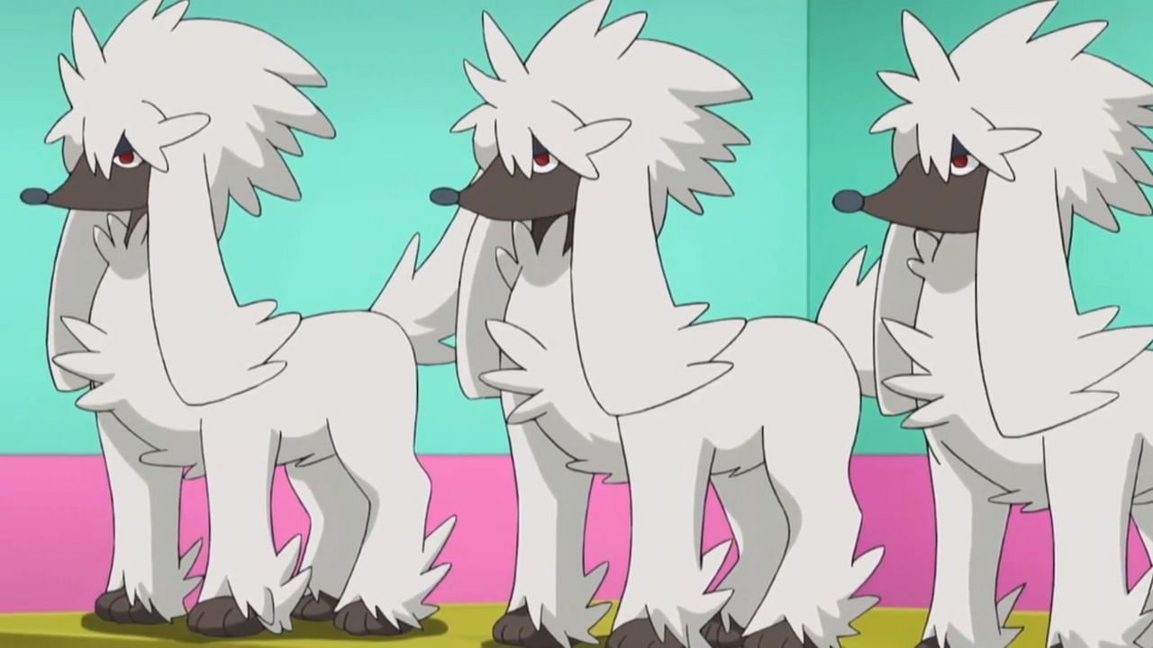 A group of Furfrou as they appear in the anime (Image via The Pokemon Company)