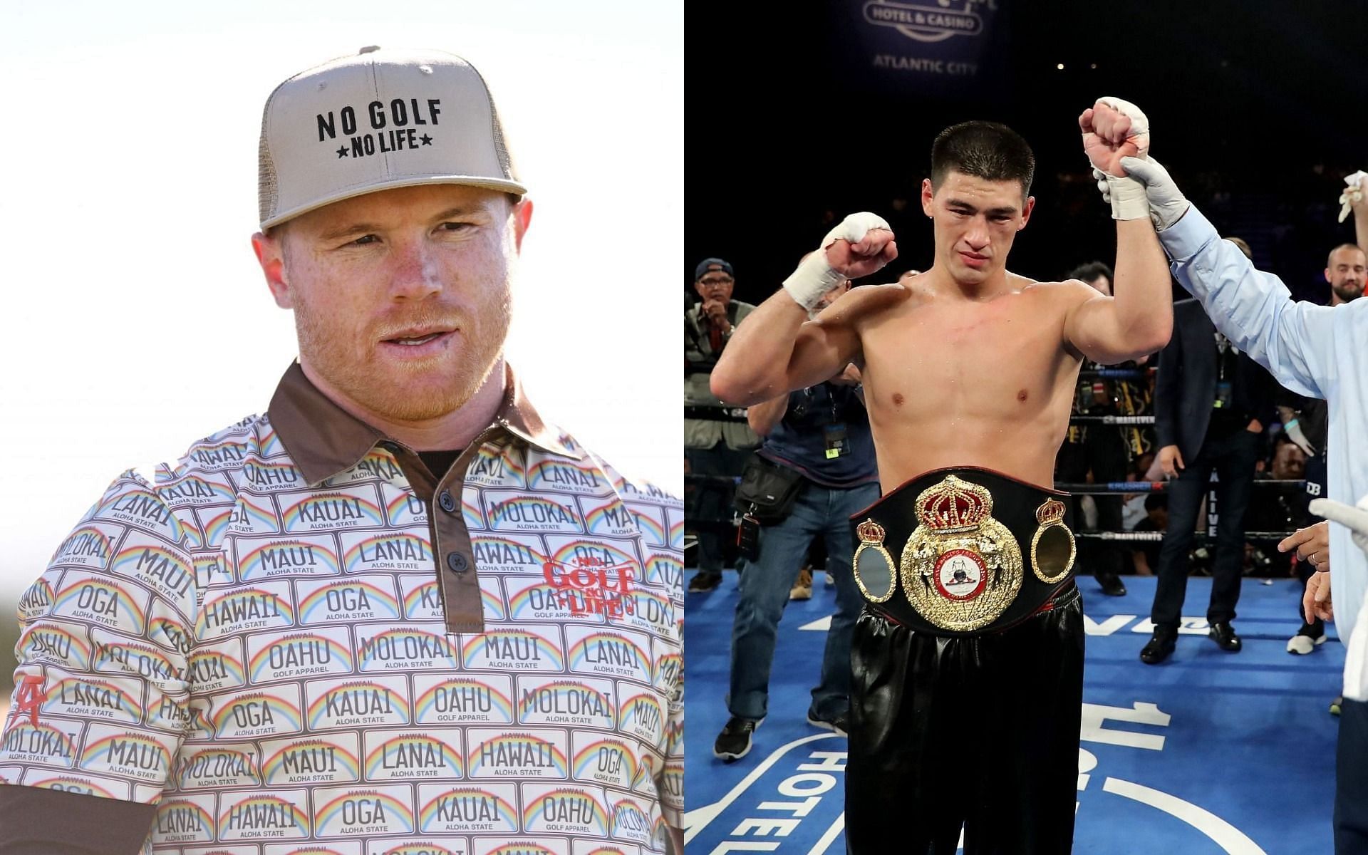 Canelo Alvarez (L) has set his sights on fighting Dmitry Bivol (R) next