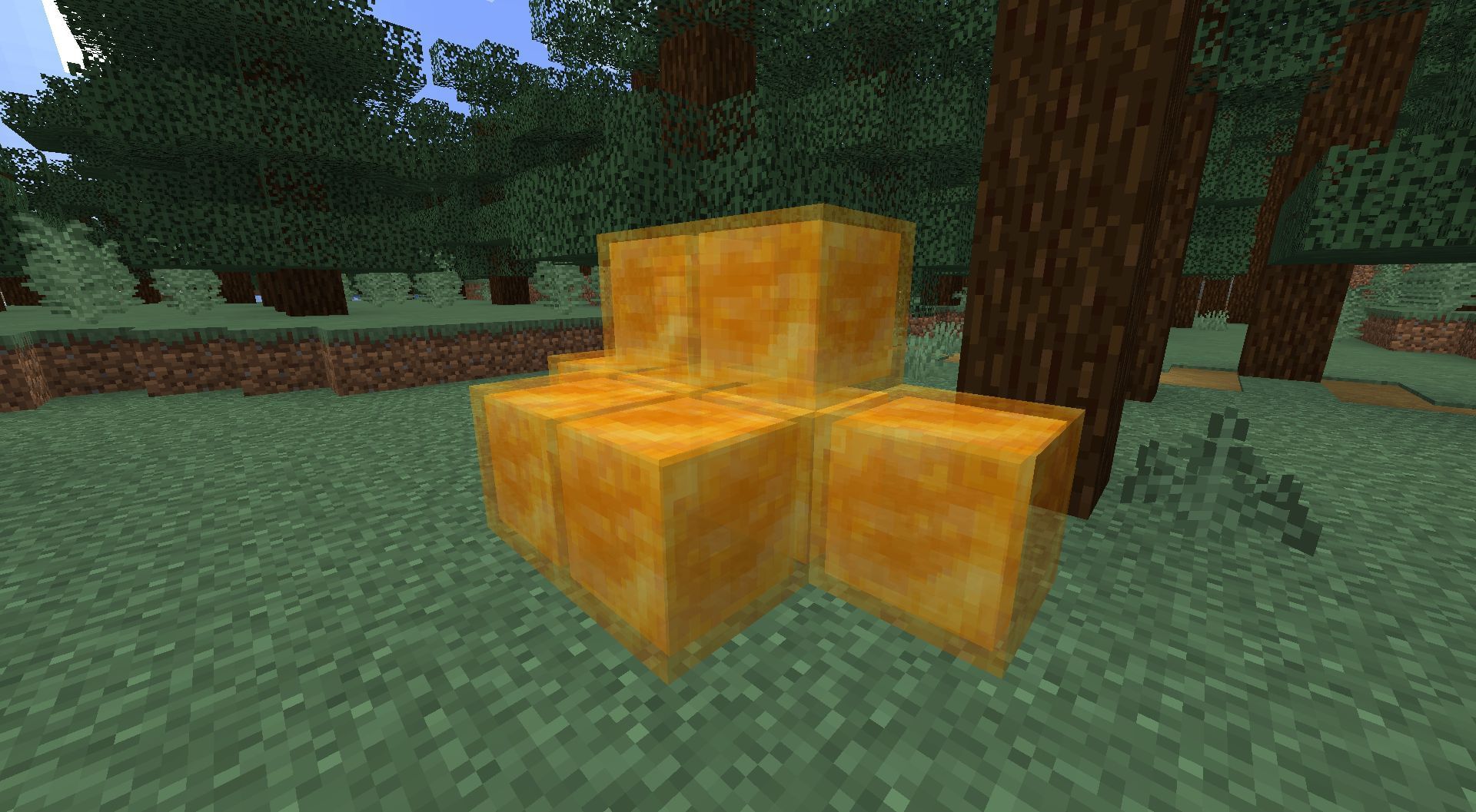 These blocks are translucent (Image via Minecraft)