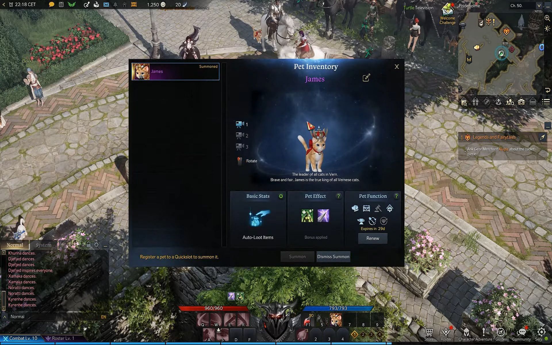 Pets in Lost Ark can be named and renamed as many times as players want (Image via YouTube/ZaFrostPet)