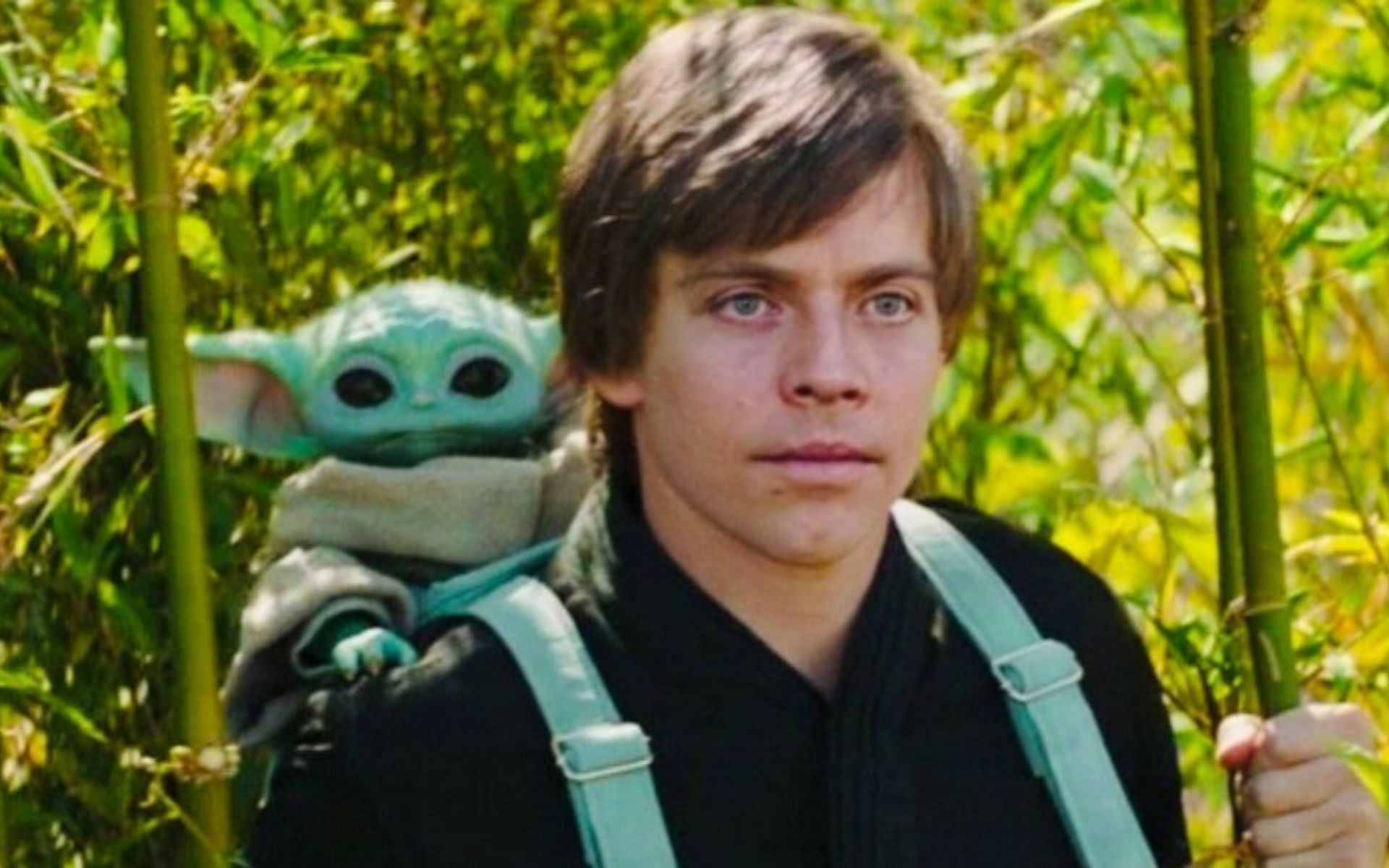 Who is Graham Hamilton Meet the actor who plays Luke Skywalker s