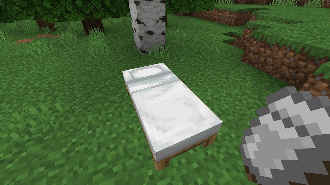 Beds are very important for players and can be colored to meet their desires. (Image via Minecraft)