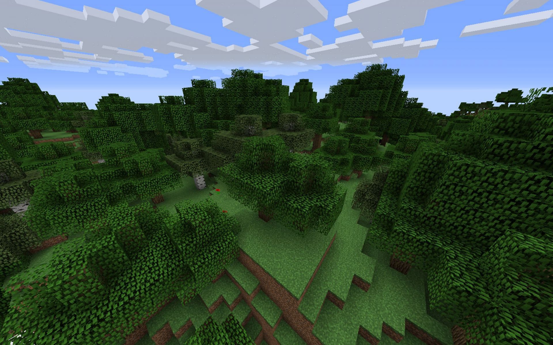 Players won&#039;t run out of wood easily in forest biomes (Image via Mojang)