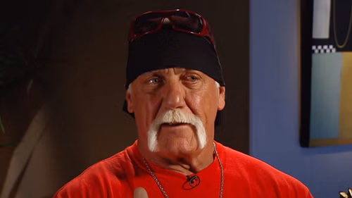 Hulk Hogan is a two-time WWE Hall of Famer.