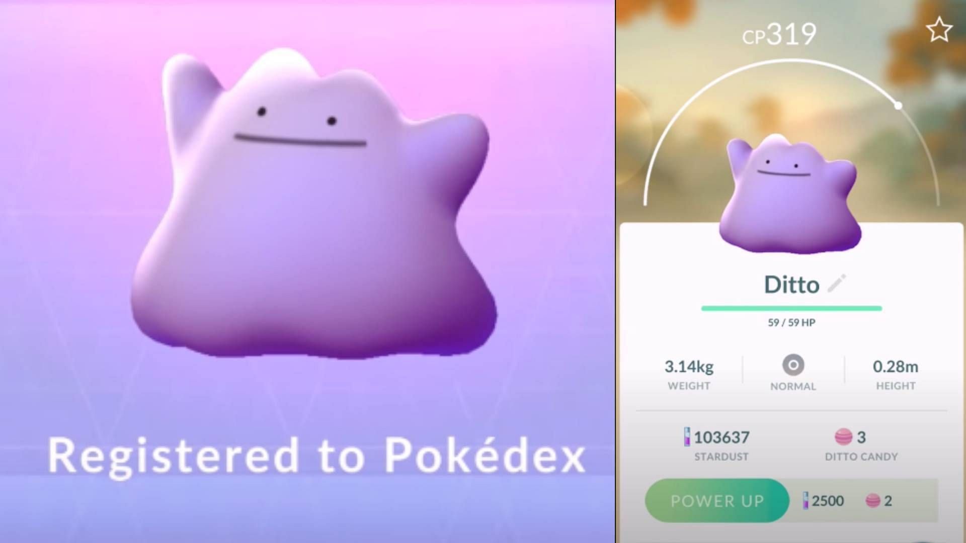 Ditto Pokemon Go February 2025