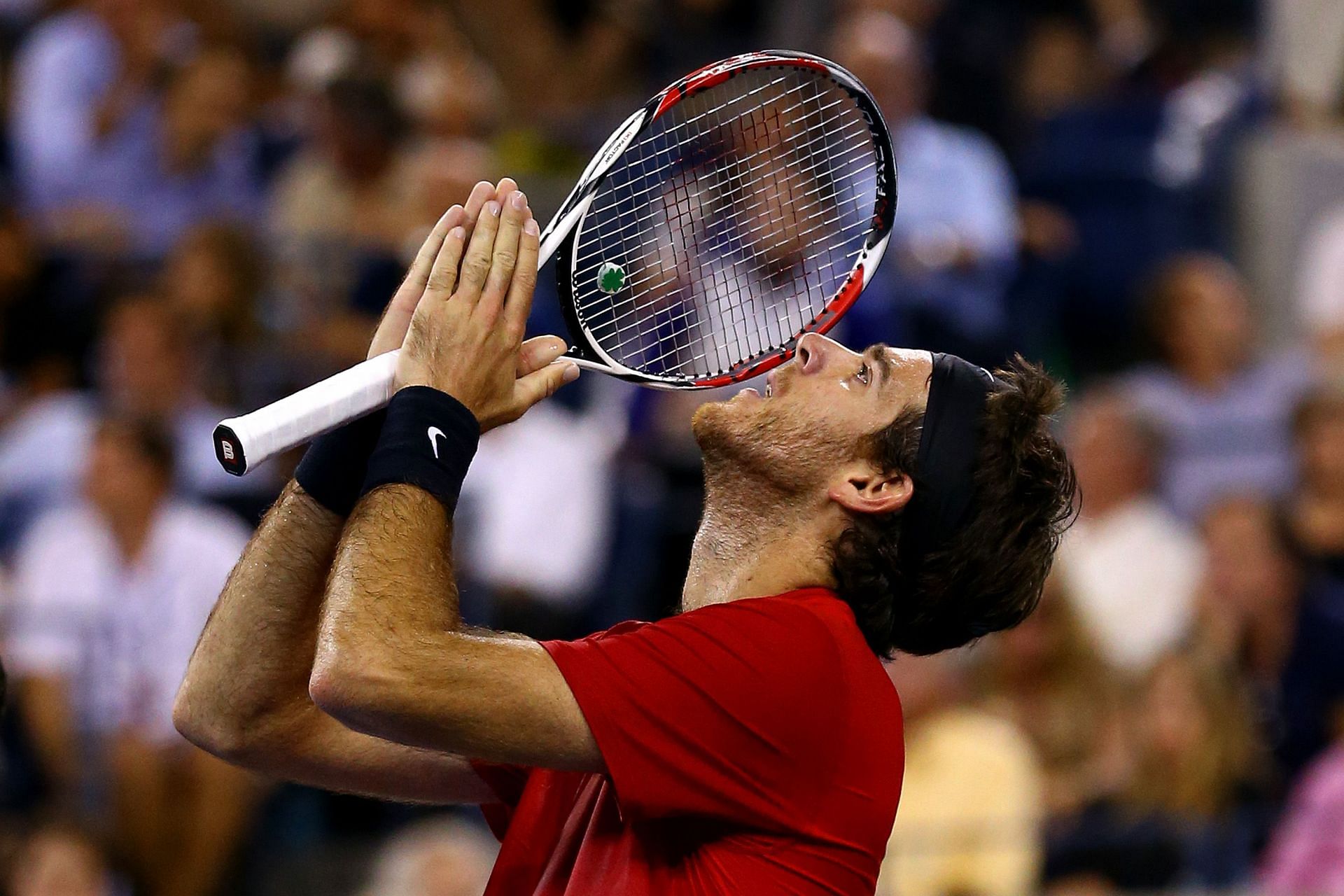 Del Potro made a return to the top of the sport in 2012