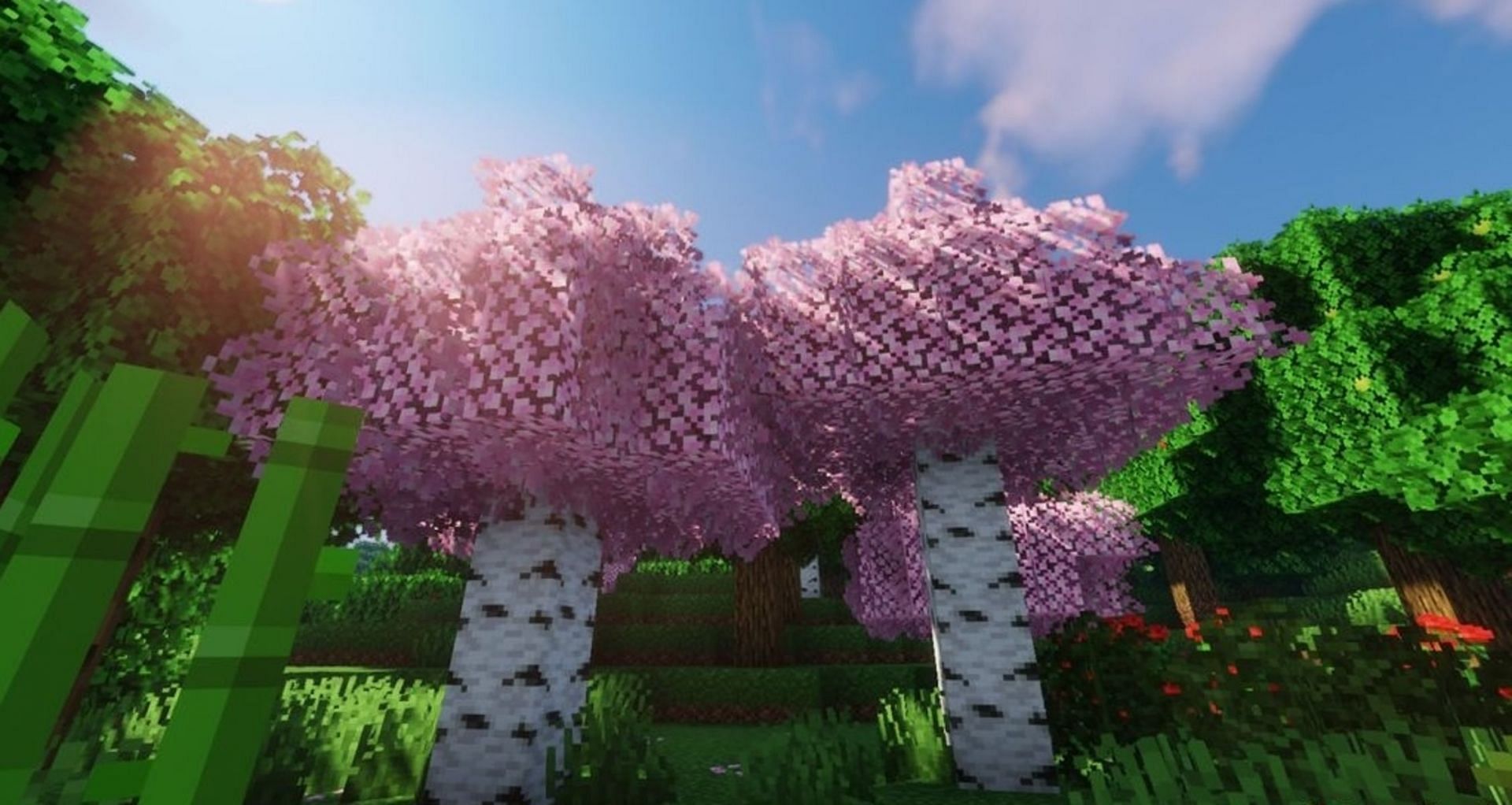 Comprar o Pacote de Texturas Naturais do Minecraft