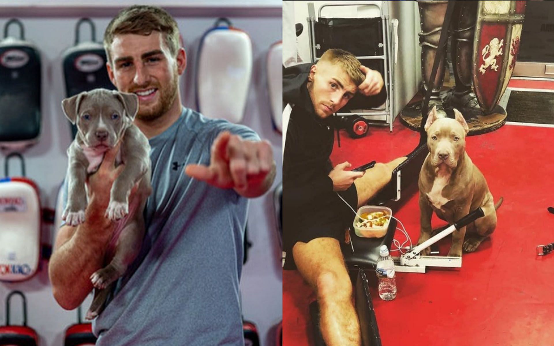 Jonathan Haggerty with his dogs, Champ (Left) and Thai (Right). | [Photos: Jonathan Haggerty&#039;s Instagram]