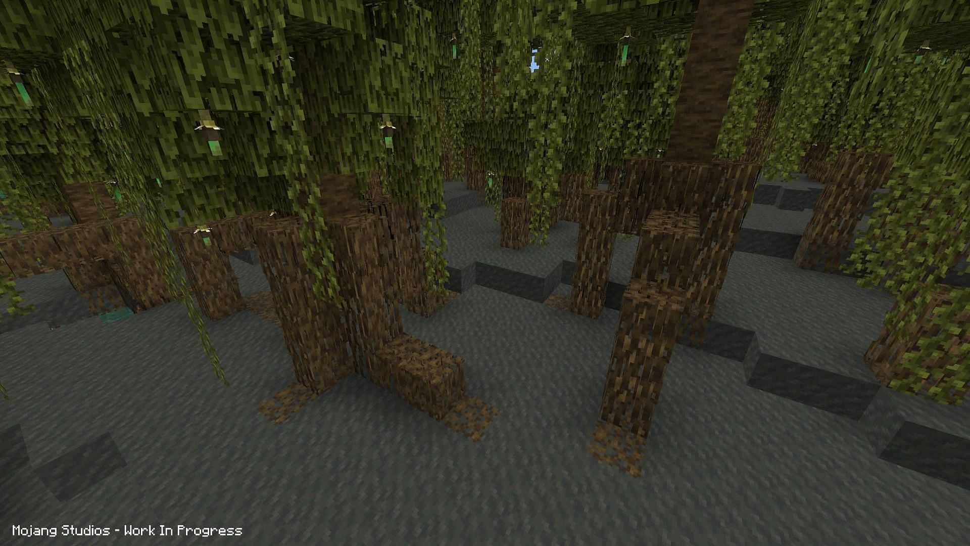 The Mangrove biome will be coming to update 1.19 (Image via Twitter, @JasperBoerstra)