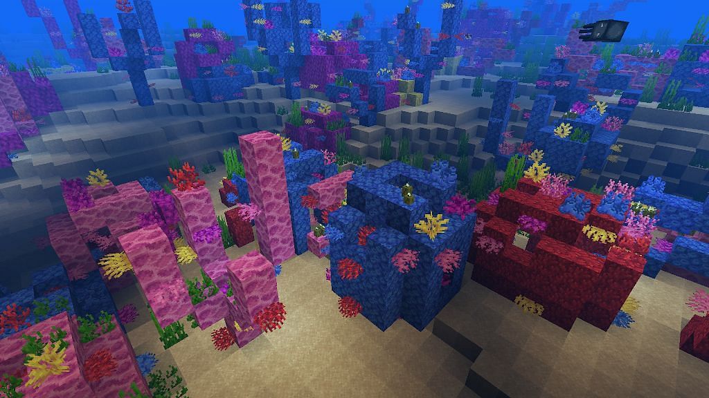 Coral reefs in Warm Ocean (Image via Minecraft Wiki)