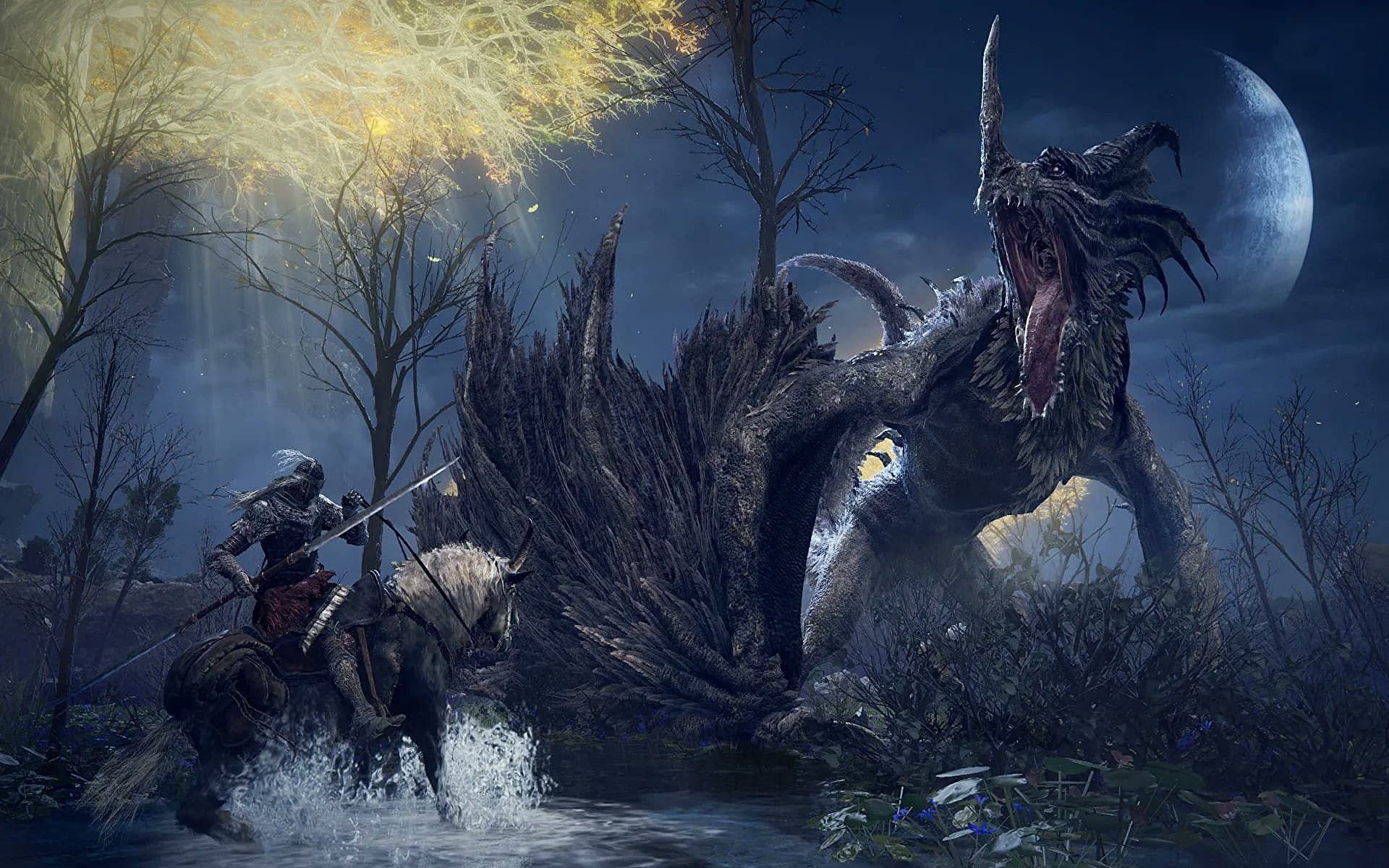 Players are excited to take on a dragon boss in Elden Ring (Image via FromSoftware Inc.)
