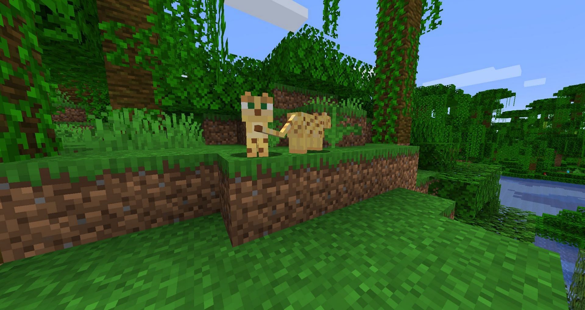 Wild ocelots in their home jungle biome (Image via Mojang)