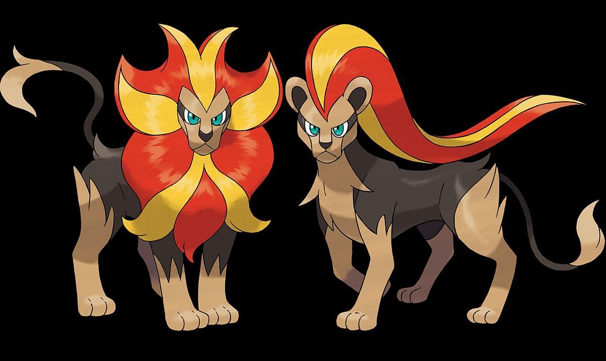 Litleo can evolve into Pyroar, which possesses a different form based on gender (Image via The Pokemon Company)