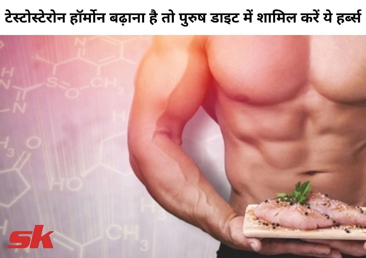 टेस्टोस्टेरोन हॉर्मोन बढ़ाना है तो पुरुष डाइट में शामिल करें ये हर्ब्स (फोटो - sportskeeda hindi)