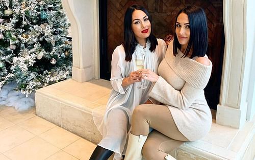 The net worth of Bella Twins is $20 million (Image via Instagram/thebriebella)