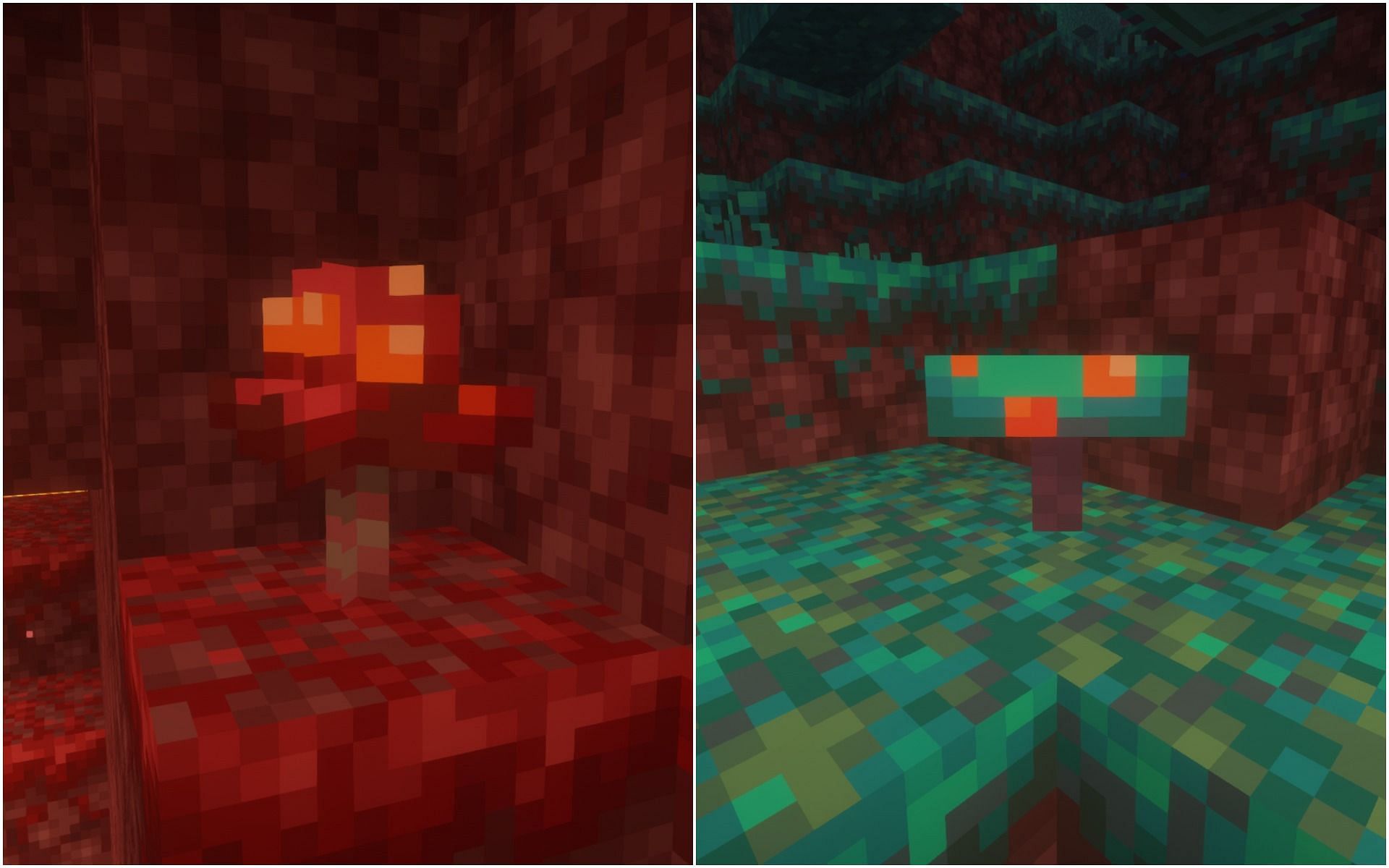More about the two types of fungi (Image via Minecraft)