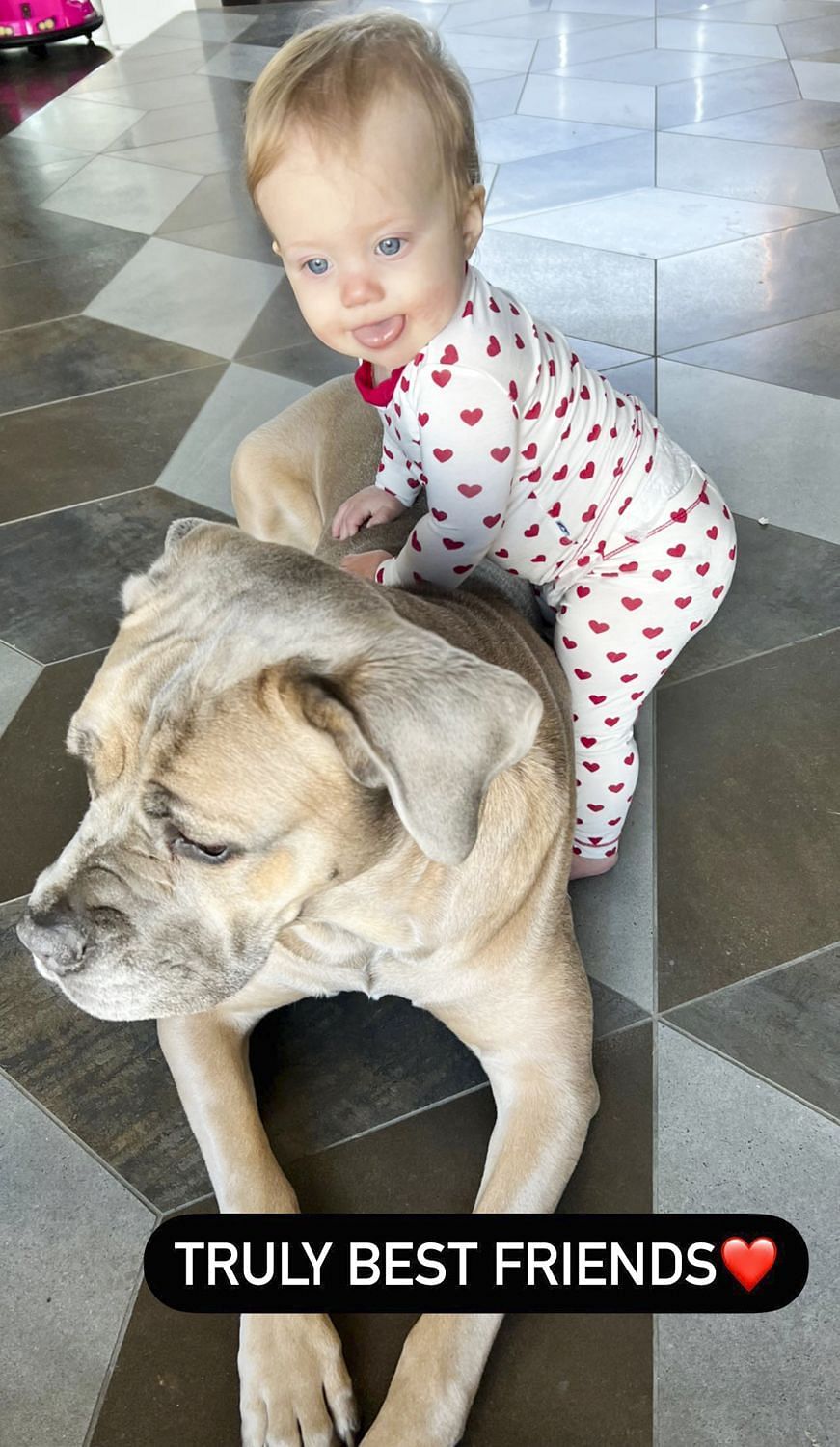 Baby Sterling hugging her best friend, Silver