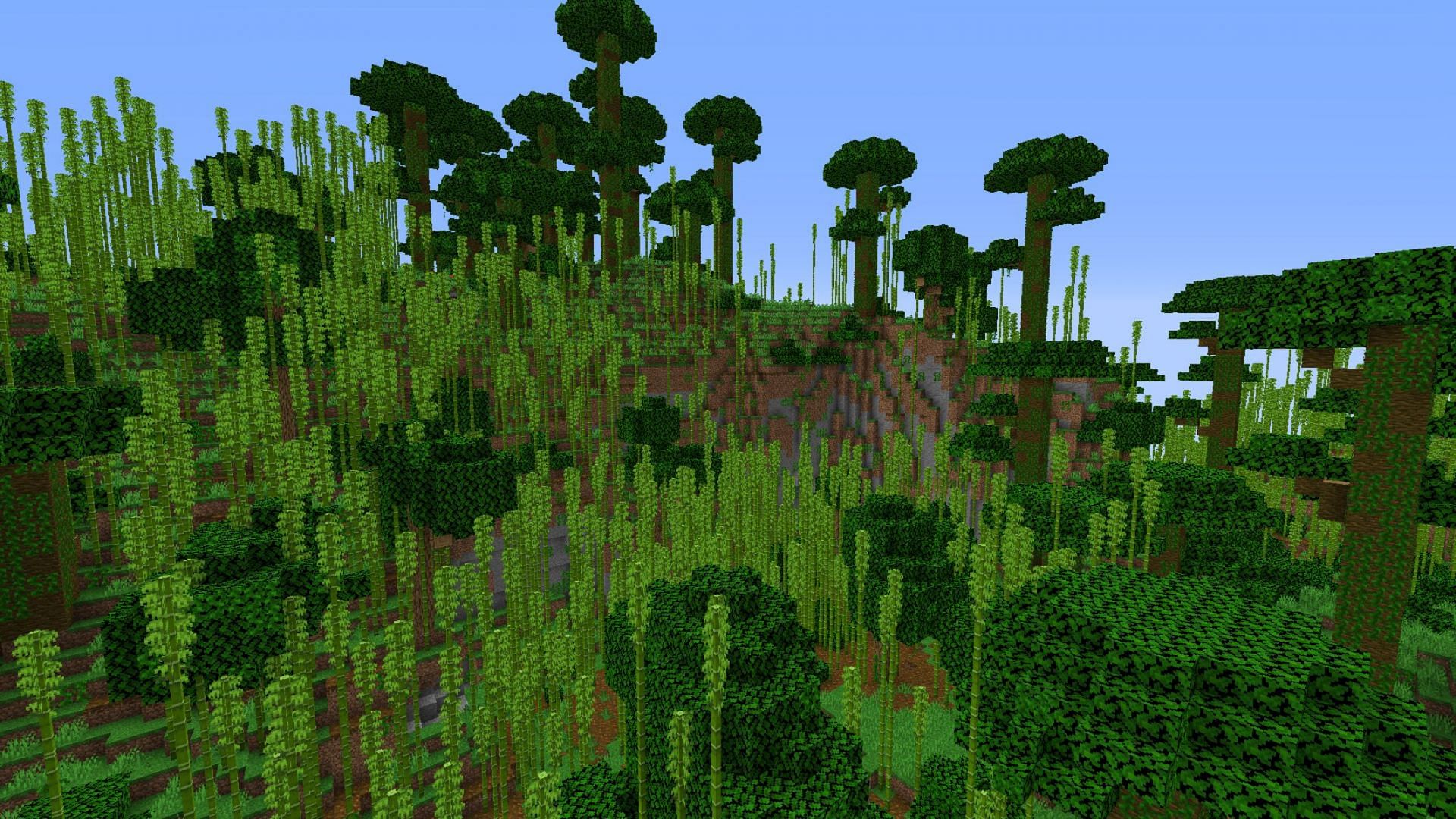 Expansive jungle biomes can take quite some time to clear out for a base (Image via Mojang)