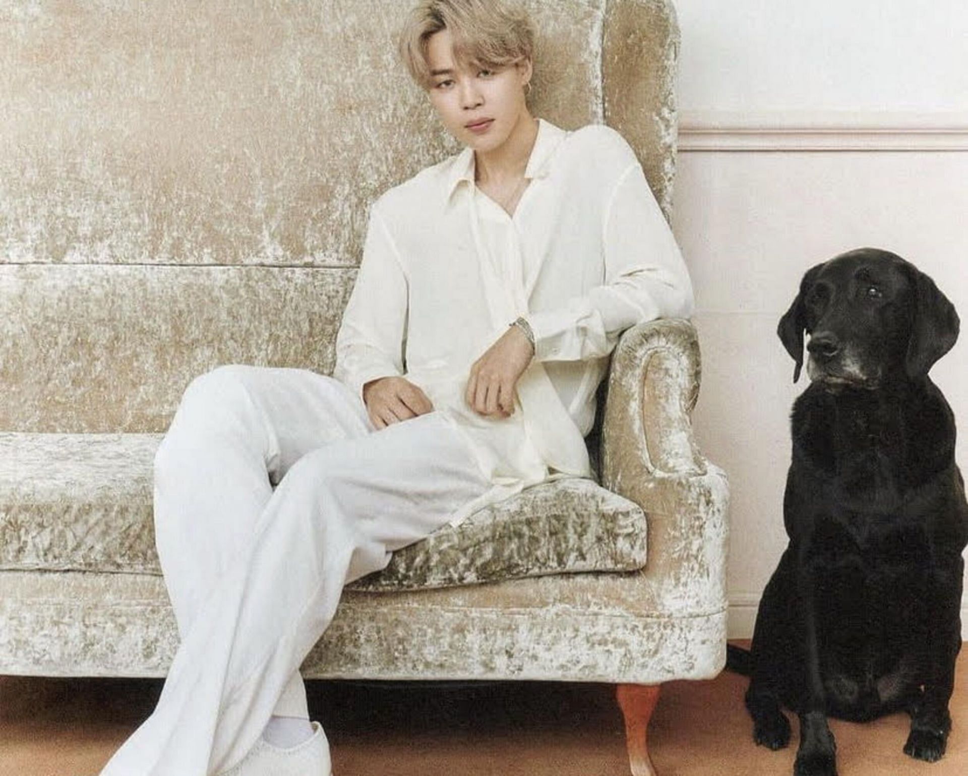BTS’ Jimin crowned the most-loved K-pop idol in The Netizens Report 2021 year-end issue