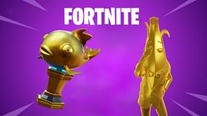 6 things most of the Fortnite community hasn't seen