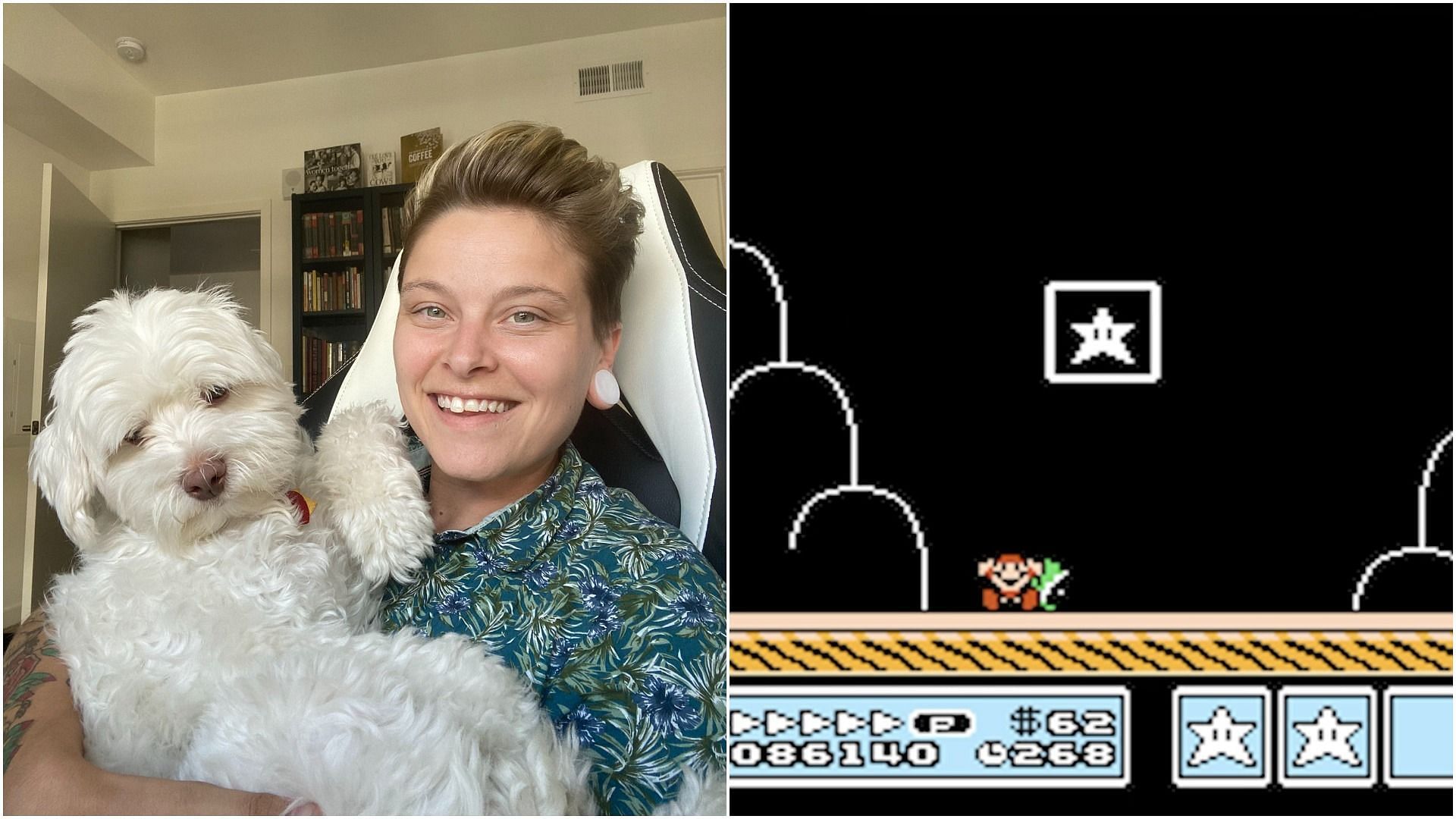 Streamer dies in Super Mario 3 right as they are about to finish the level (Image via Sportskeeda)