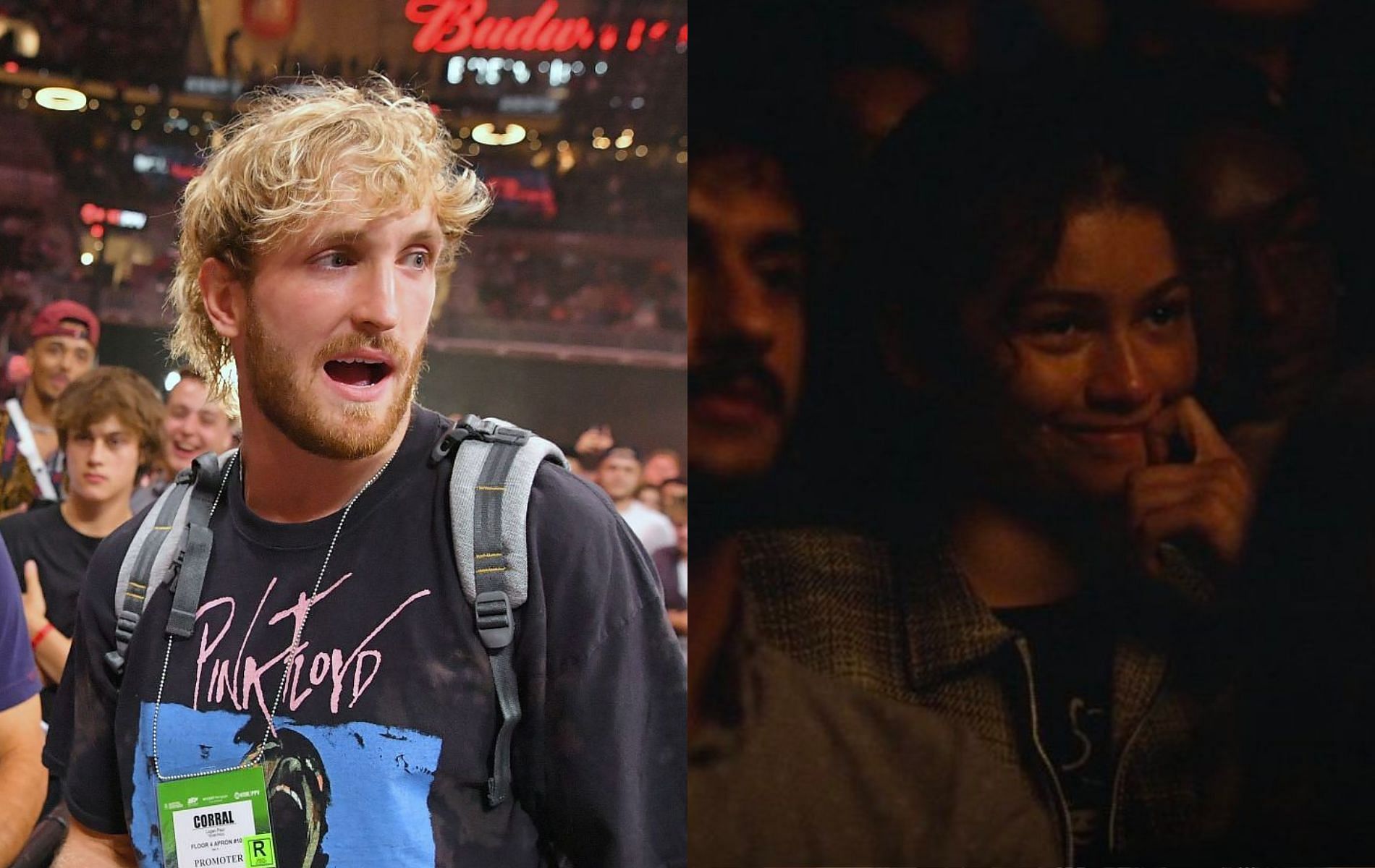 Logan Paul (left) &amp; Zendaya (right) [Image Credits- @dayasspidey on Twitter]