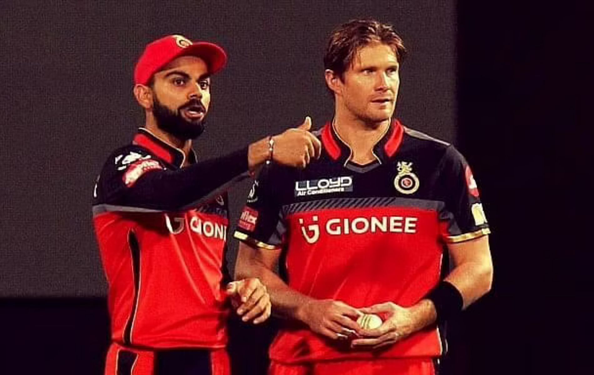 Shane Watson played with Virat Kohli at RCB.