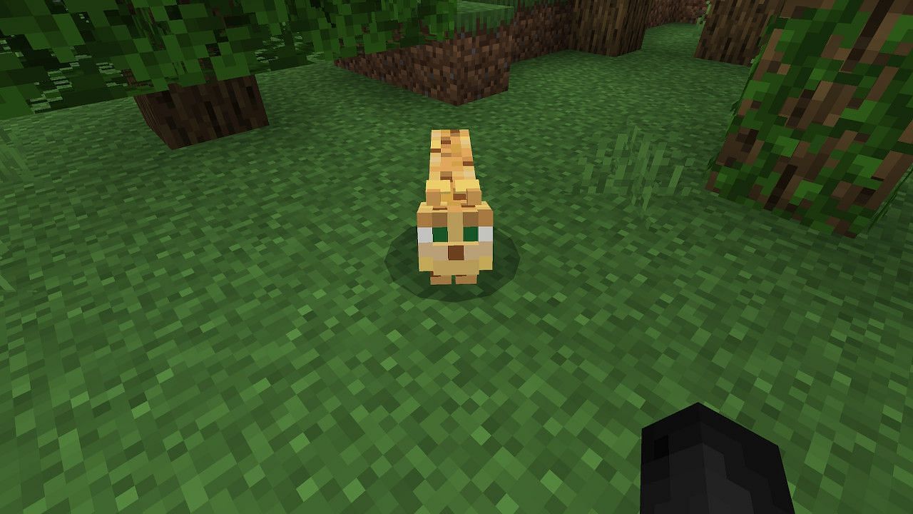 Ocelots can be found in the jungle biome in Minecraft (Image via Minecraft)