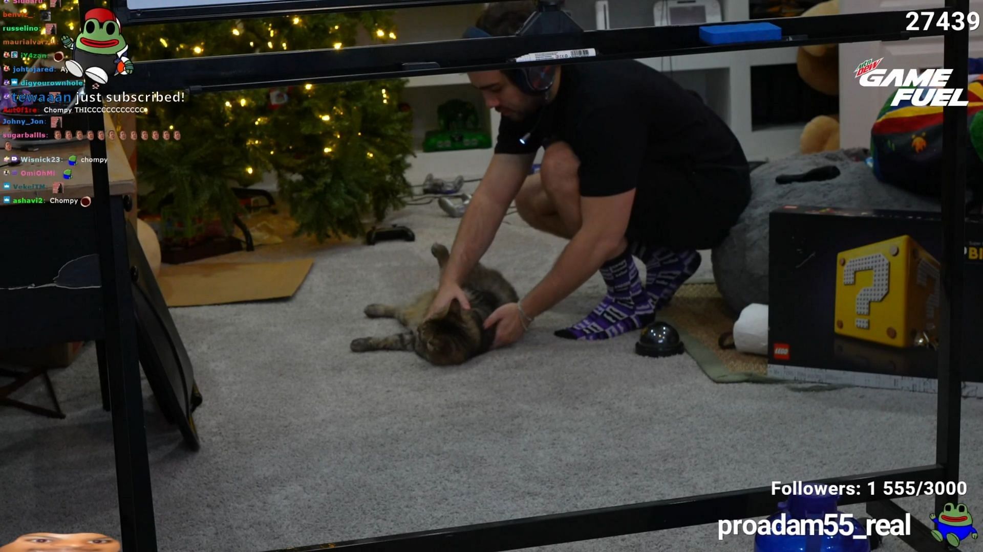 Miz&rsquo;s cat&rsquo;s antics entertained his stream (Image via Mizkif/Twitch)