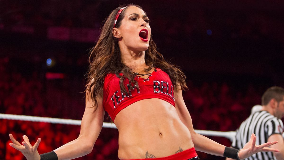 Brie Bella had a special moment at the WWE Royal Rumble.