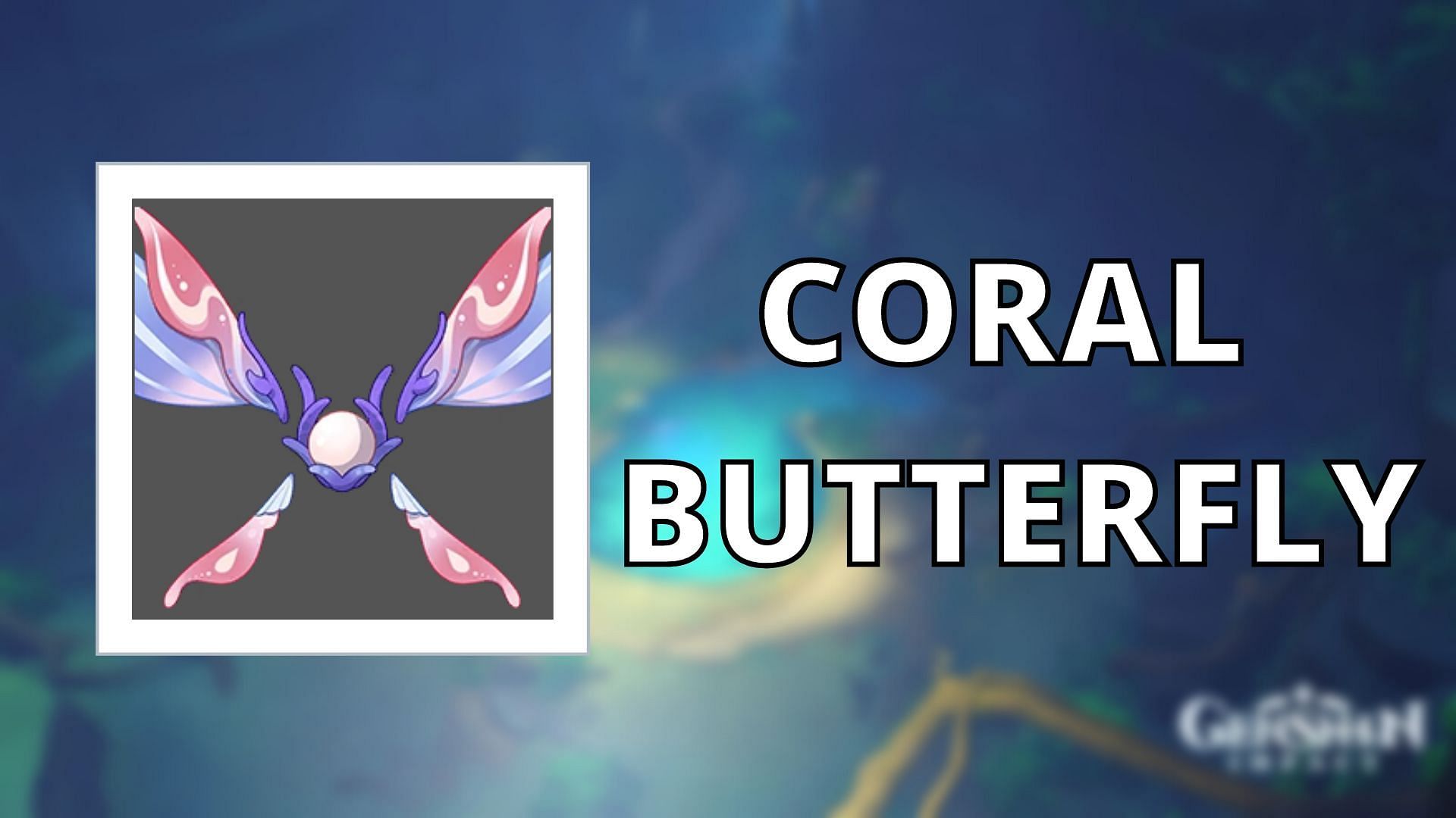 Top 5 places to find Coral Butterfly in Genshin Impact (Image via HoYoverse)