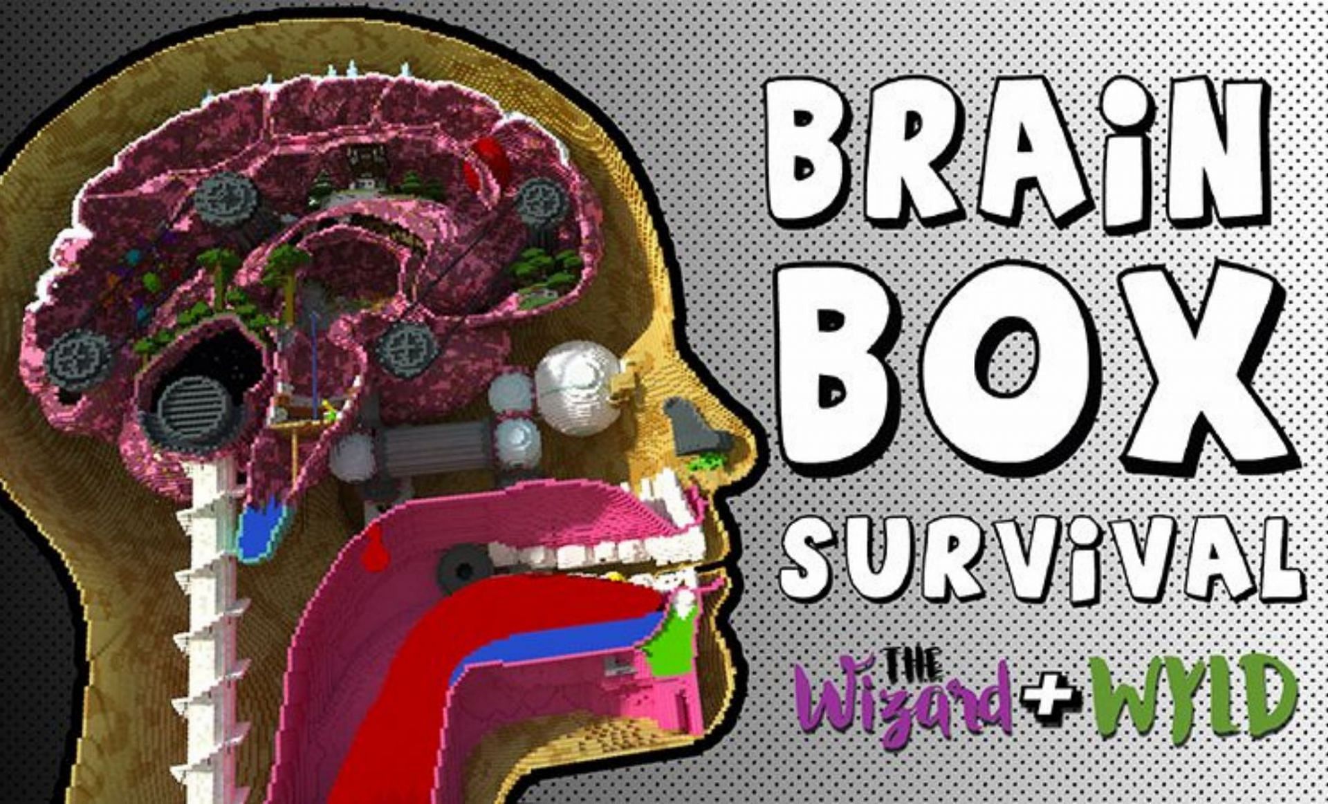 Brain-Box escape map (Image via Mojang)